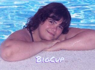 BigCup