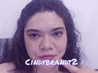 Cindybrandt2