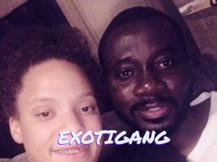 EXOTIGANG Rencontre Mature