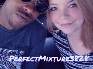 PerfectMixture3828