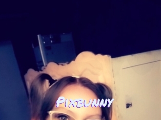 Pixbunny