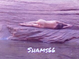 Shams66