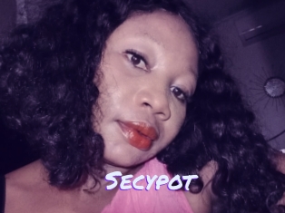 Secypot