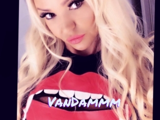 VanDammm Rencontre Mature